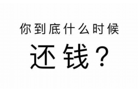 大柴旦为什么选择专业追讨公司来处理您的债务纠纷？